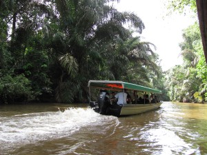 Travelling through a tropical river surrounded by jungles